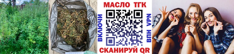 ТГК Wax  Билибино 